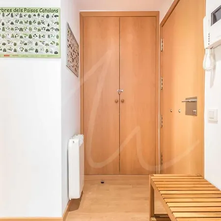 Apartamento Aneu By Seamount Valencia D'Aneu